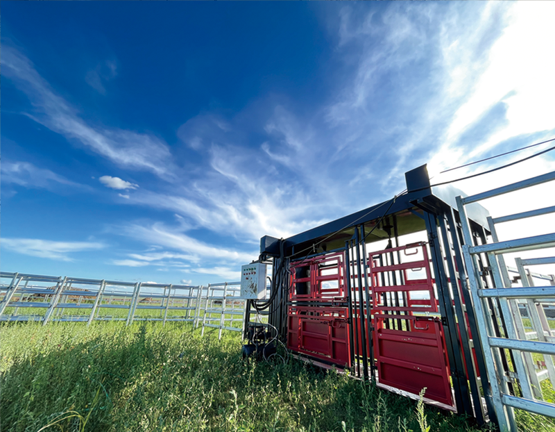 网站 宝力格苏木 02.png