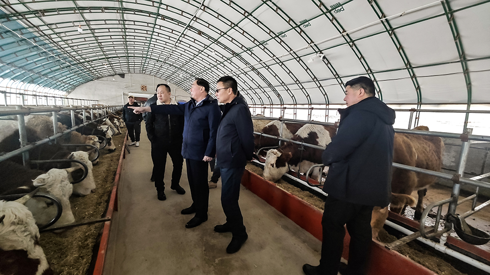 牧途智慧牧业示范户参观 (2).jpg