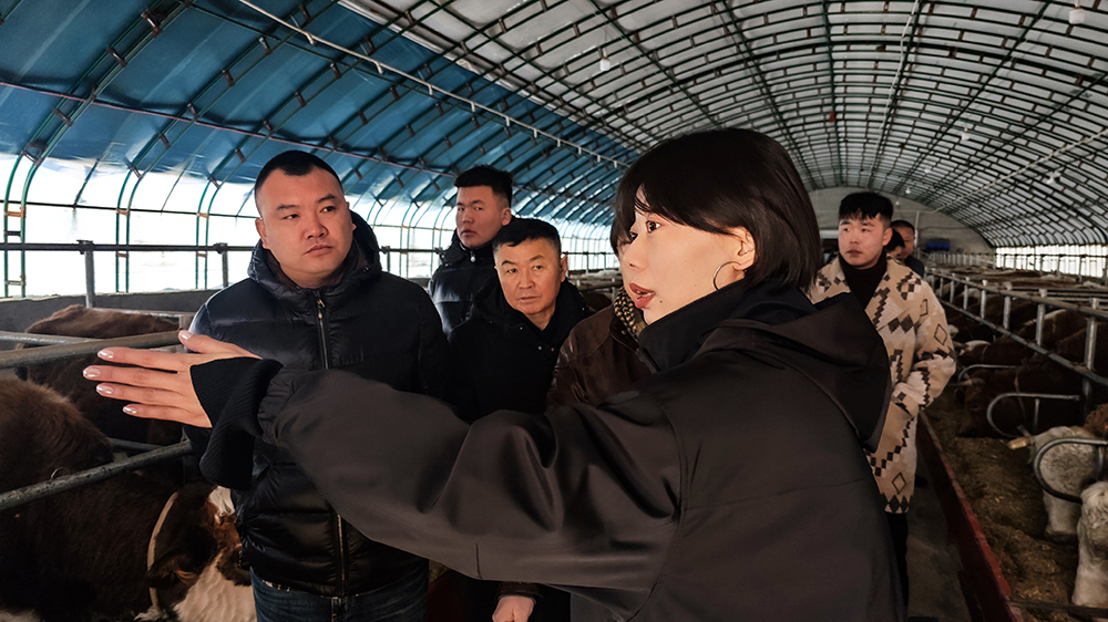 牧途智慧牧业示范户参观 (5).jpg