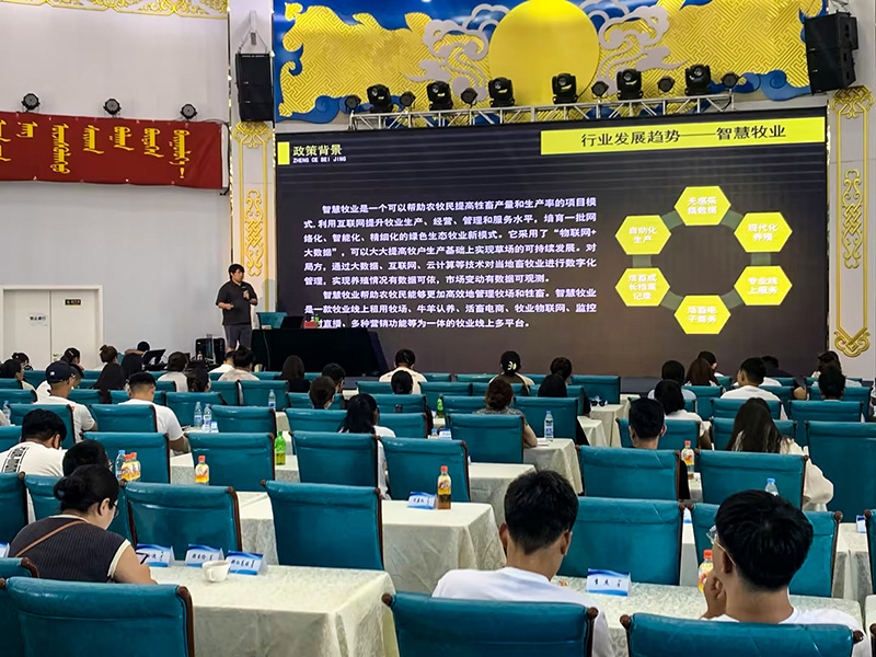 网站 乌审旗 04.jpg