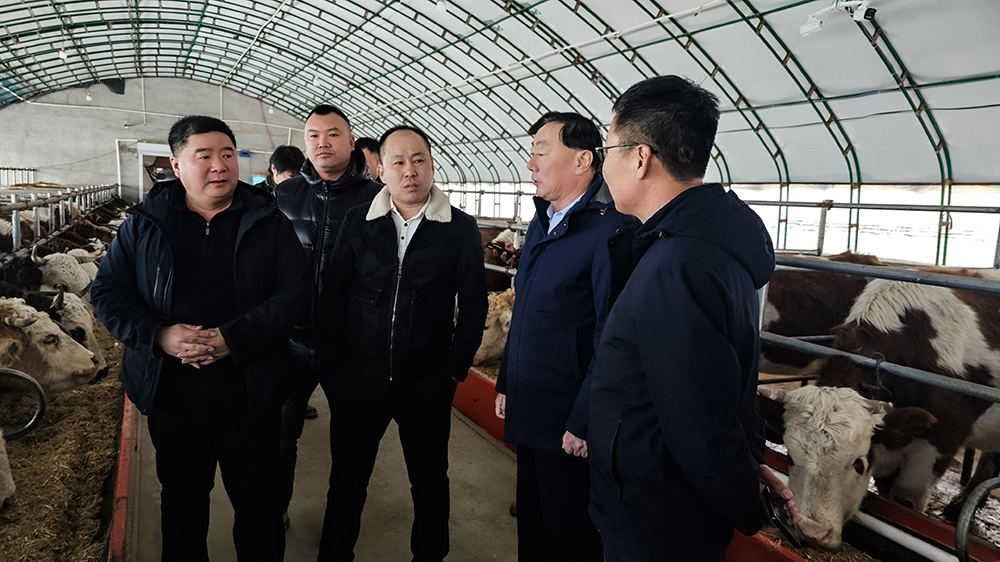 牧途智慧牧业示范户参观 (3).jpg