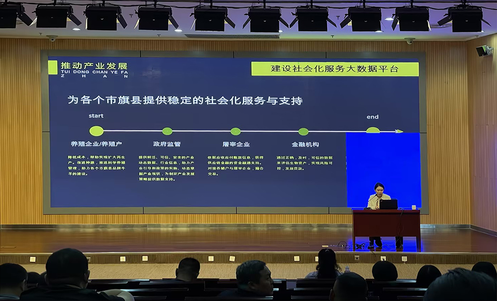 adce8a82-8006-46d5-a0fe-a4d1bd43f850.jpg